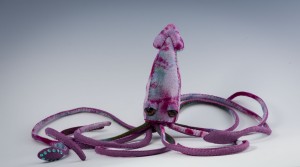 Dawn Rogal - squid